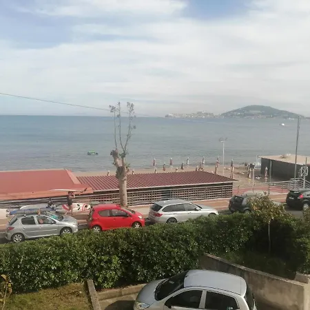 Antonella's